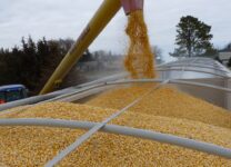 Простаков считает, что Россия должна выйти из зерновой сделки